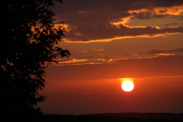 06 Dsc_1786 600.jpg